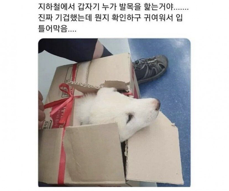 달팽이게임