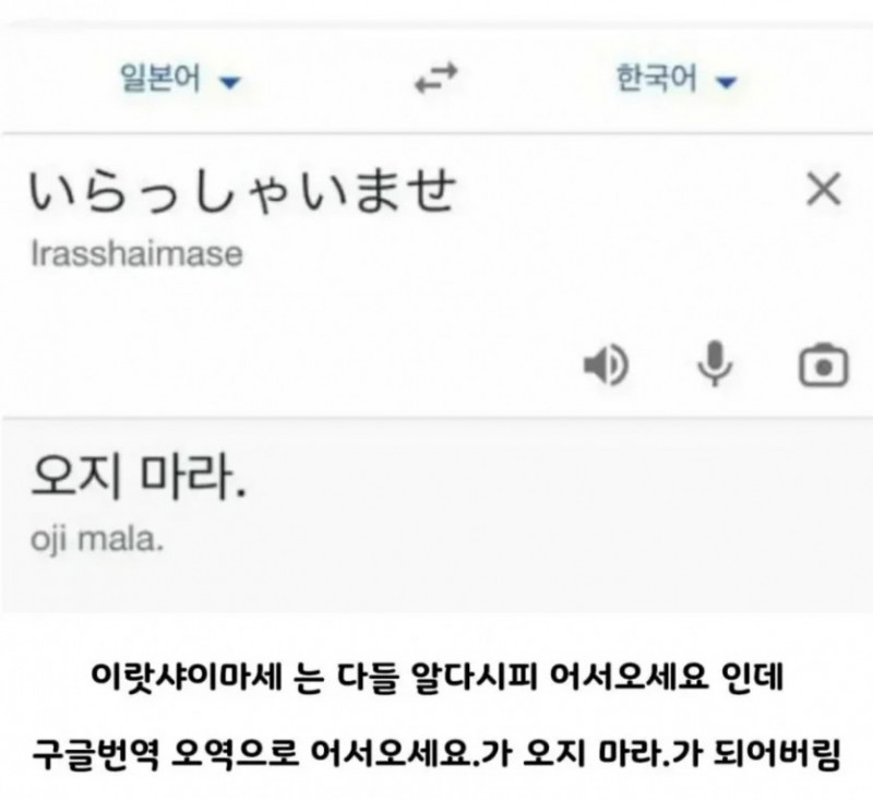 실시간달팽이