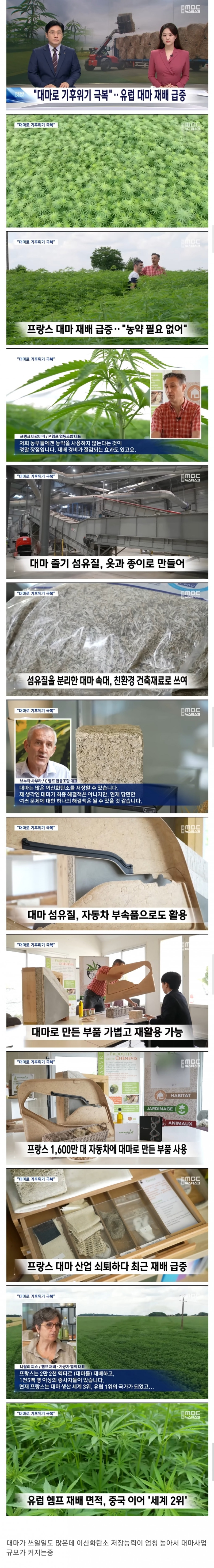 파워볼게임픽분석