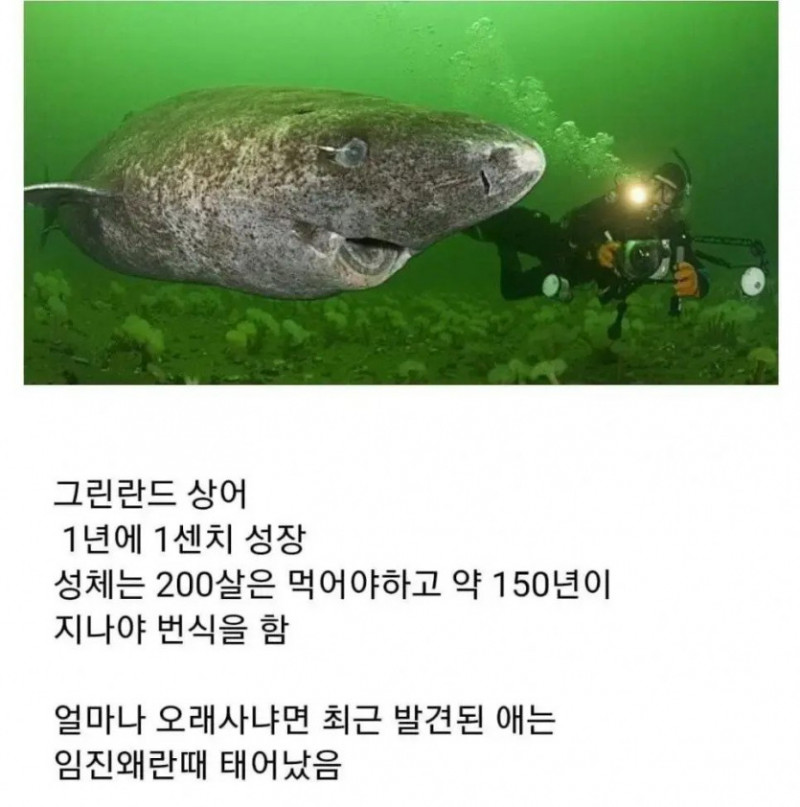 나눔로또