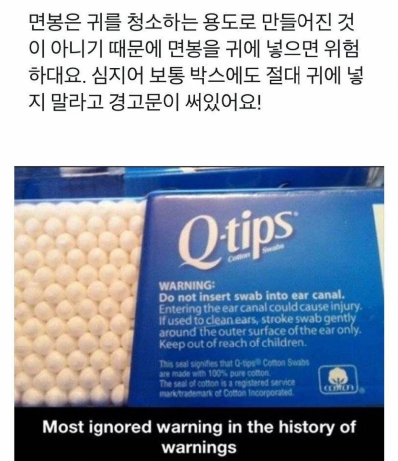 실시간달팽이