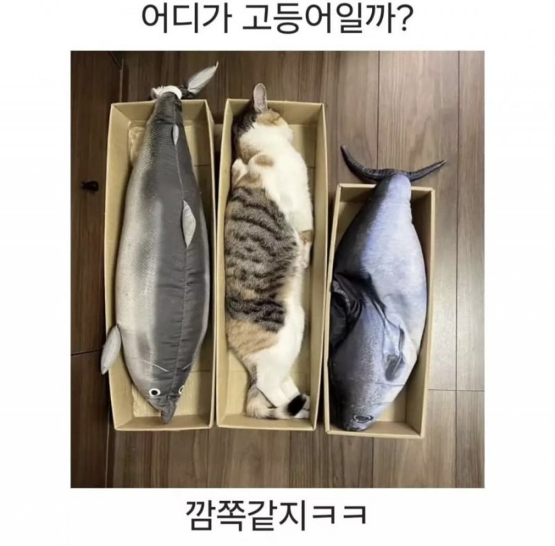 나눔로또