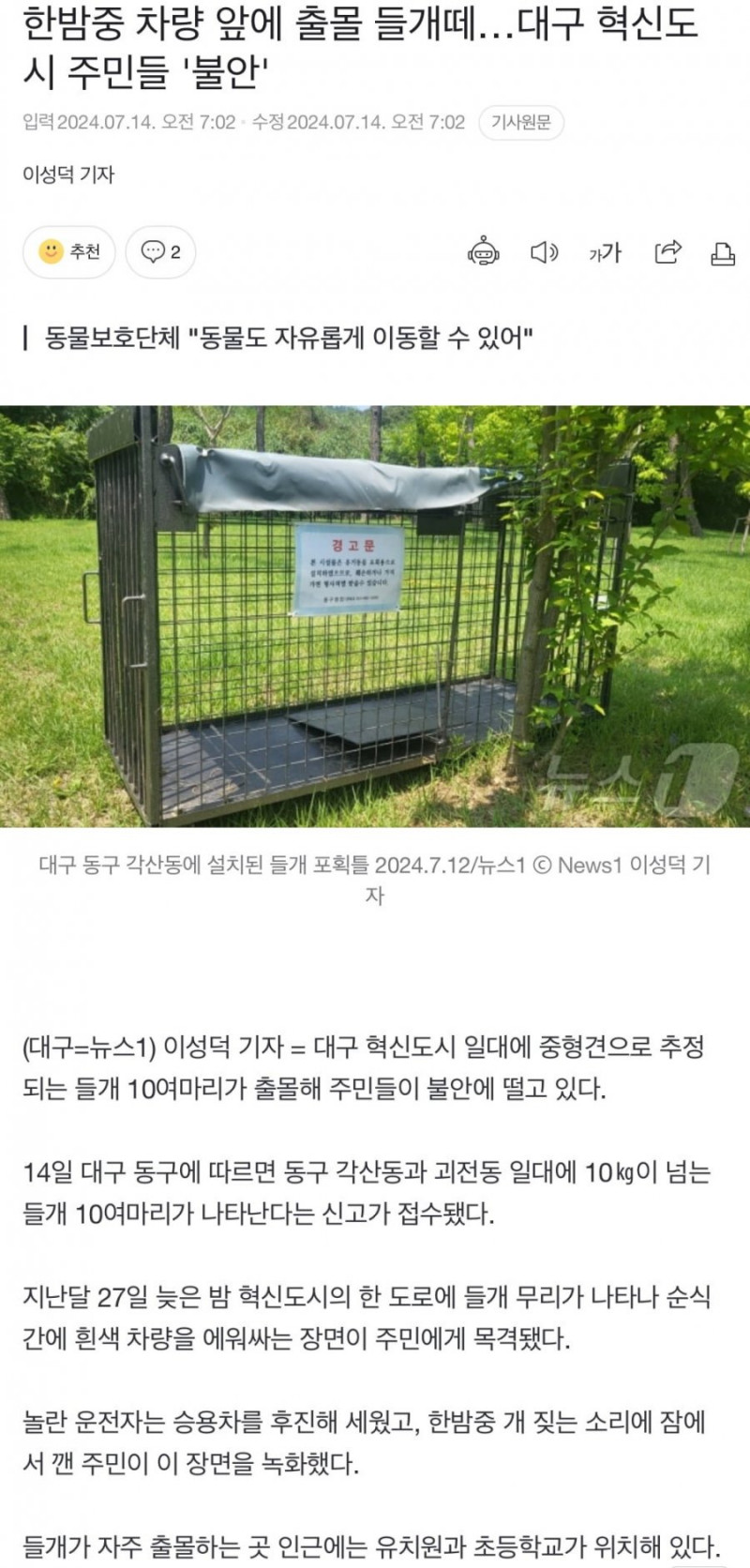 실시간게임