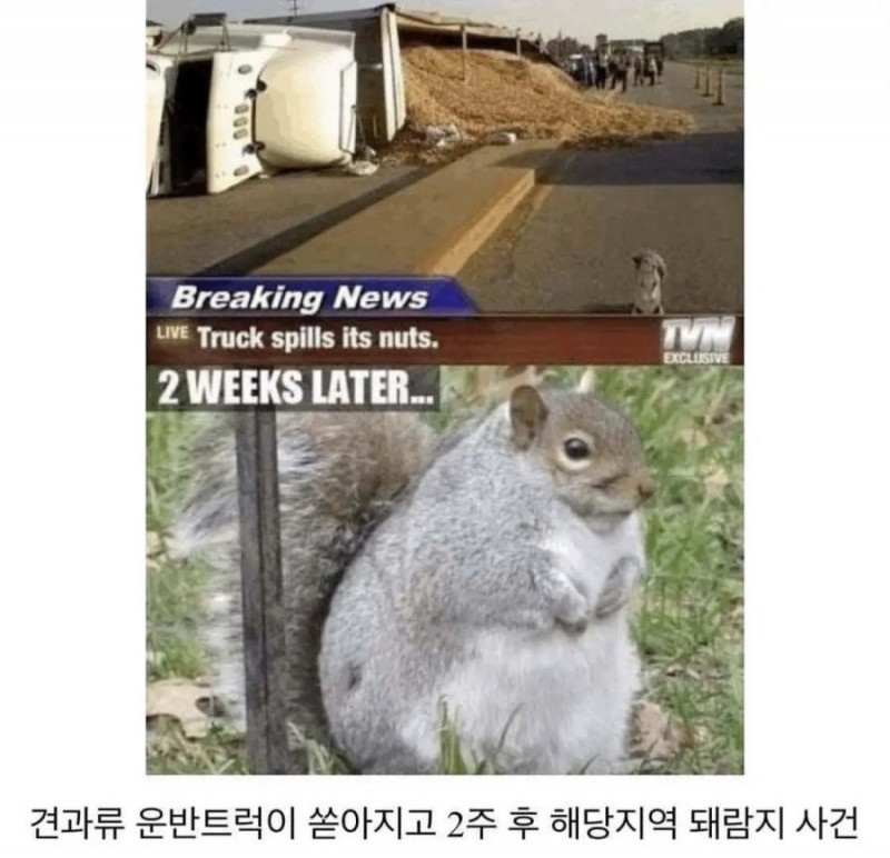 나눔로또