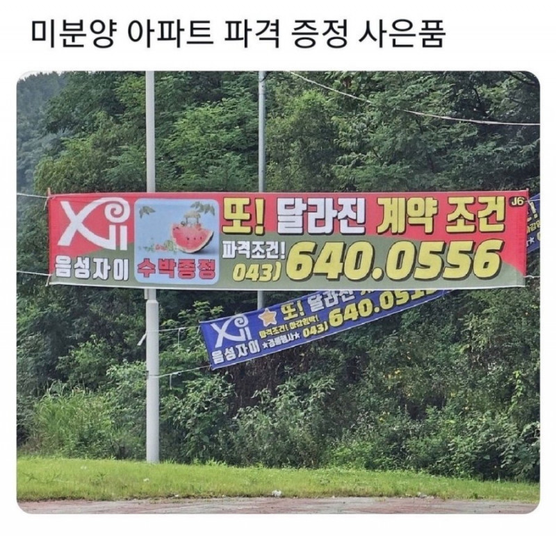 달팽이게임픽분석