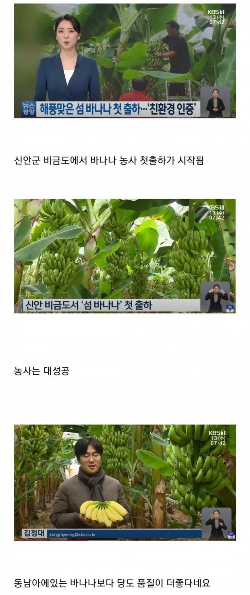 실시간게임