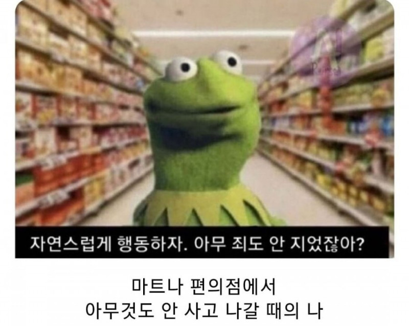 달팽이게임픽