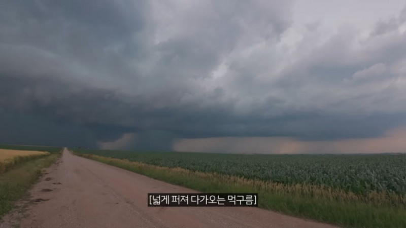 달팽이 분석과 실시간패턴통계