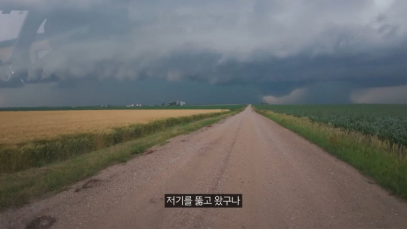 파워볼 분석과 실시간패턴통계