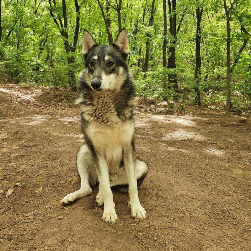 사다리게임통계