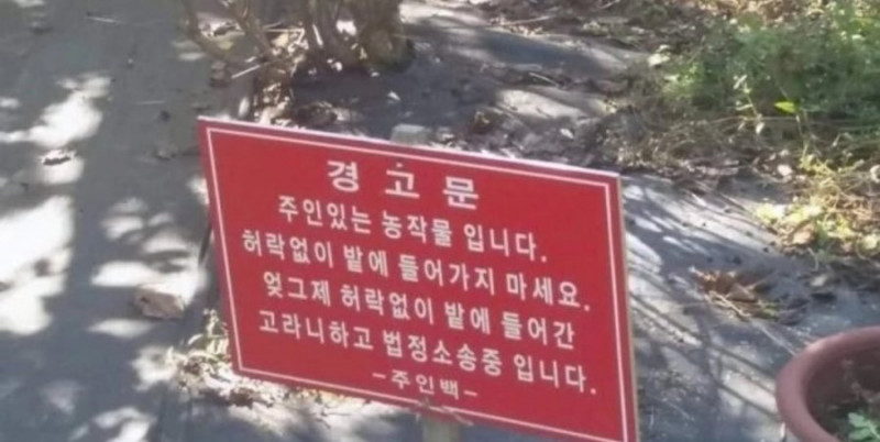 파워볼게임픽