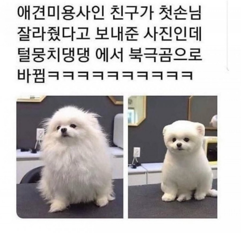 나눔로또