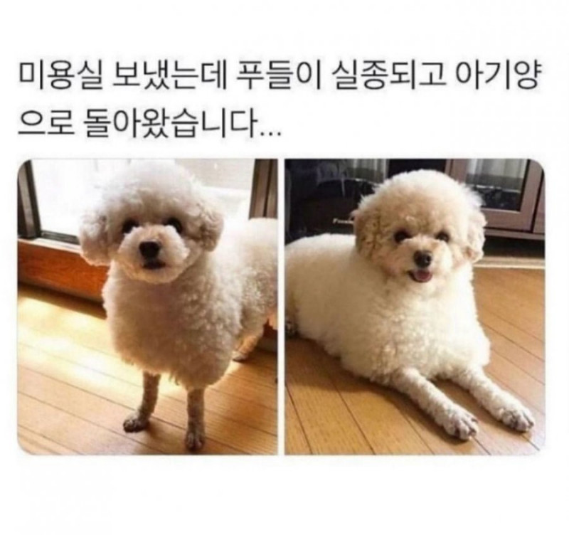 달팽이게임픽분석