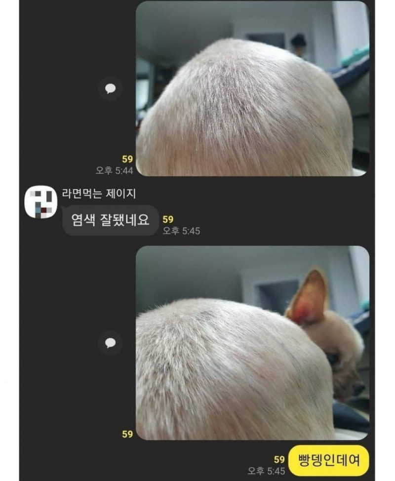 사다리 분석과 실시간패턴통계