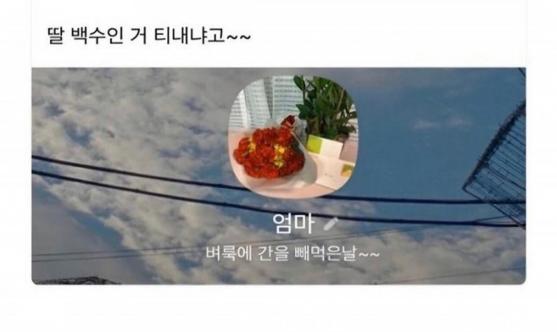 달팽이 분석과 실시간패턴통계