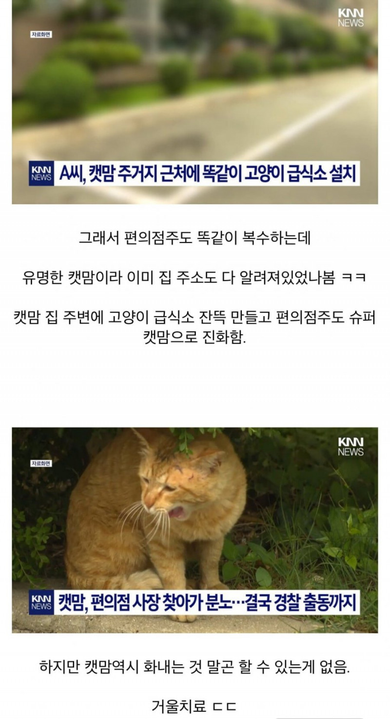 달팽이게임분석기