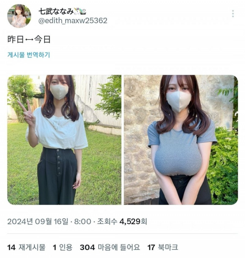 파워볼 분석과 실시간패턴통계