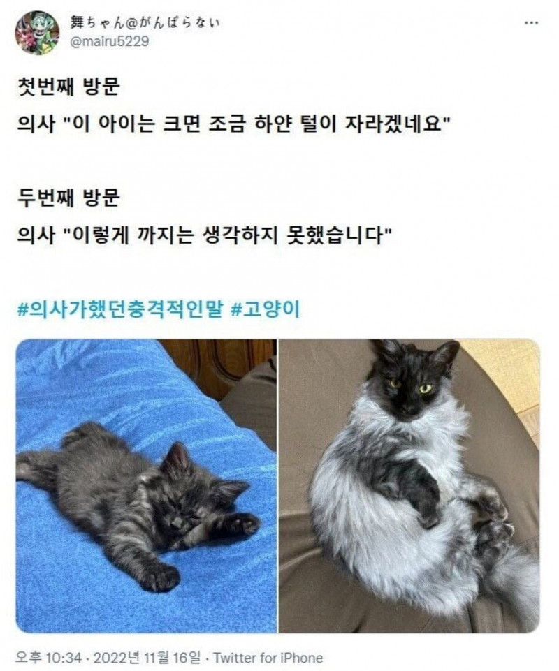 달팽이게임픽분석