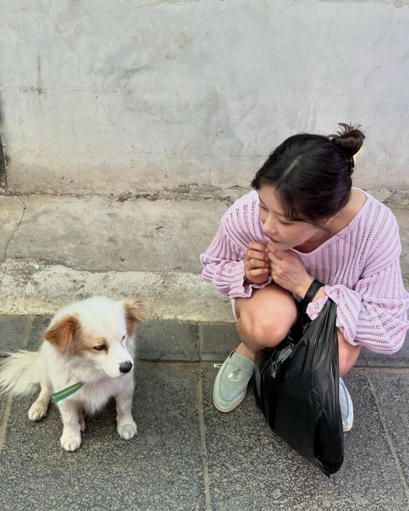 사다리 분석과 실시간패턴통계