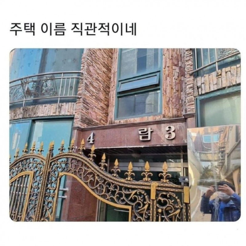 나눔로또 파워볼분석기