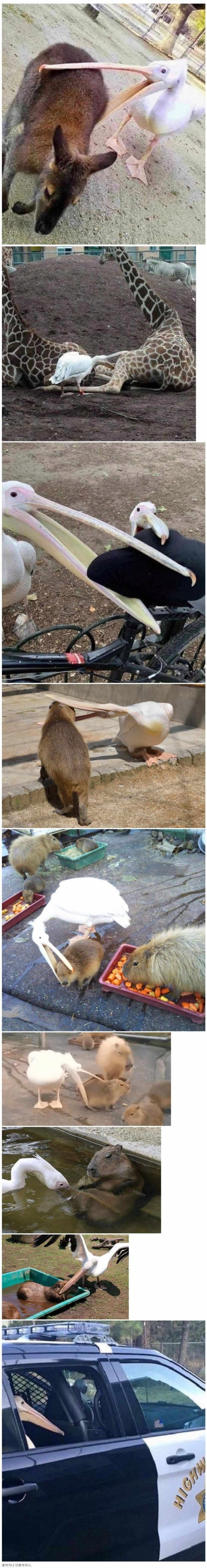 달팽이 분석과 실시간패턴통계