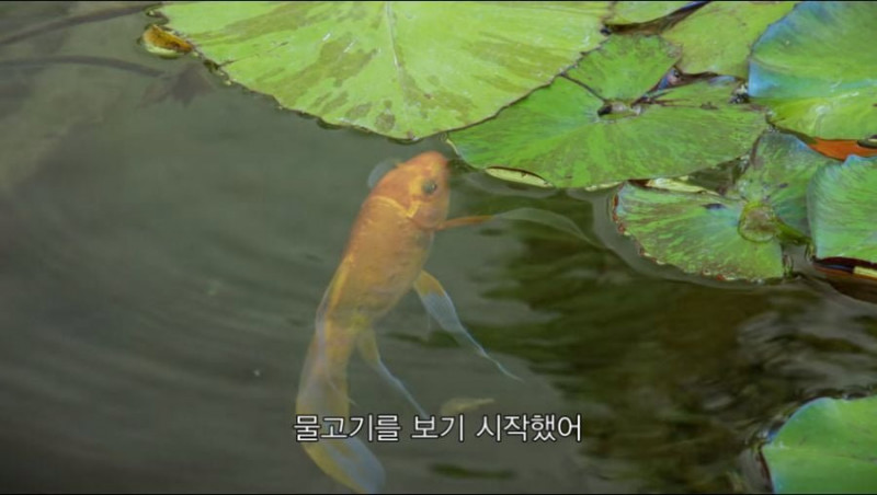 달팽이게임픽분석