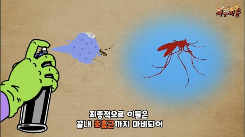 달팽이게임픽