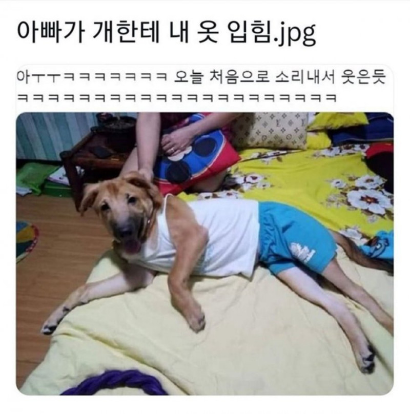 나눔로또