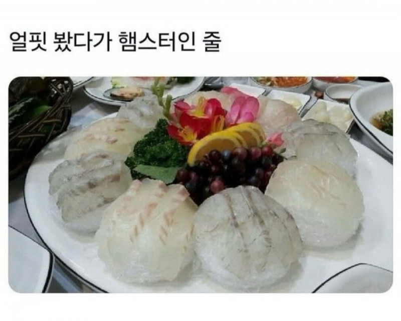 달팽이필승