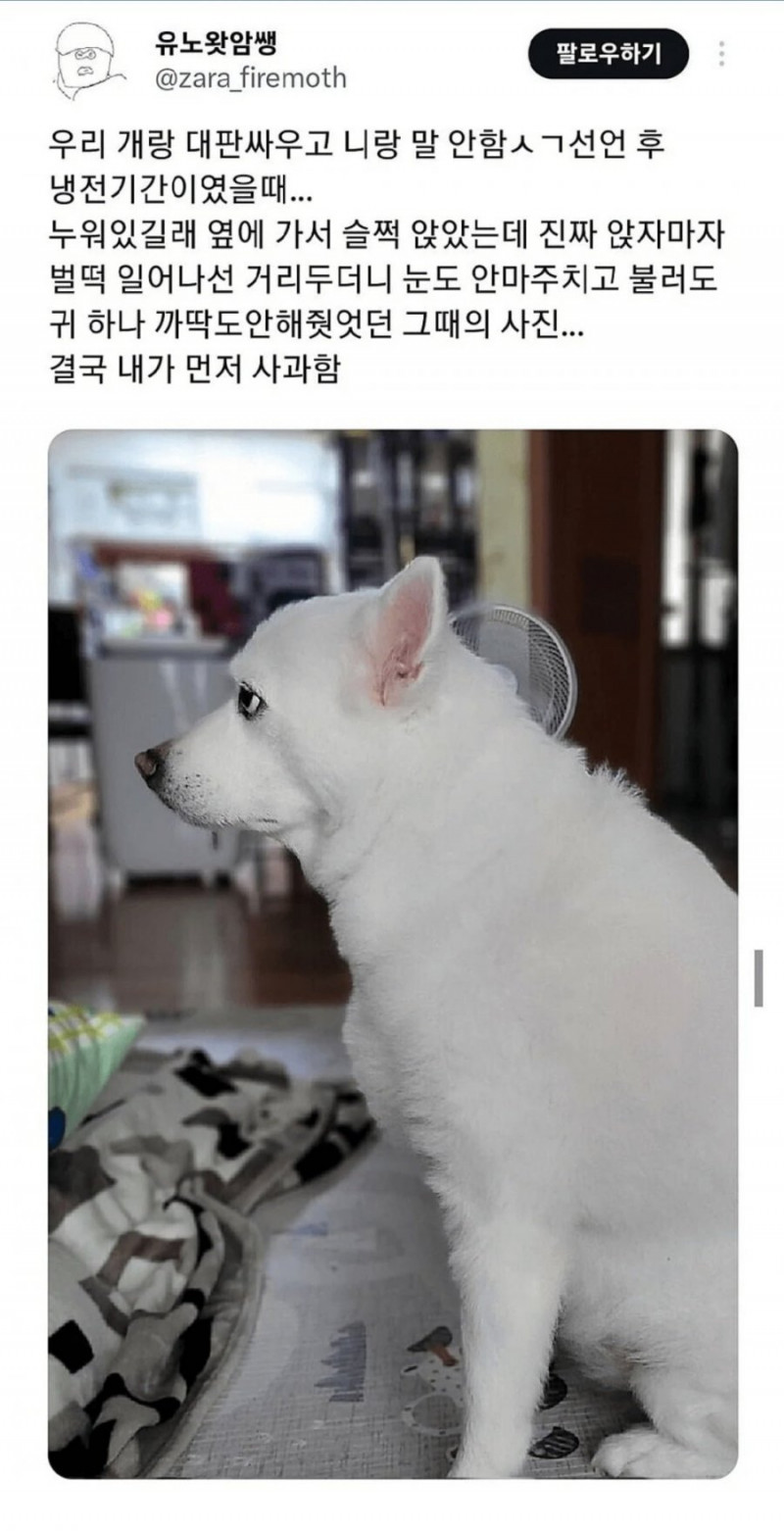 달팽이게임픽게임