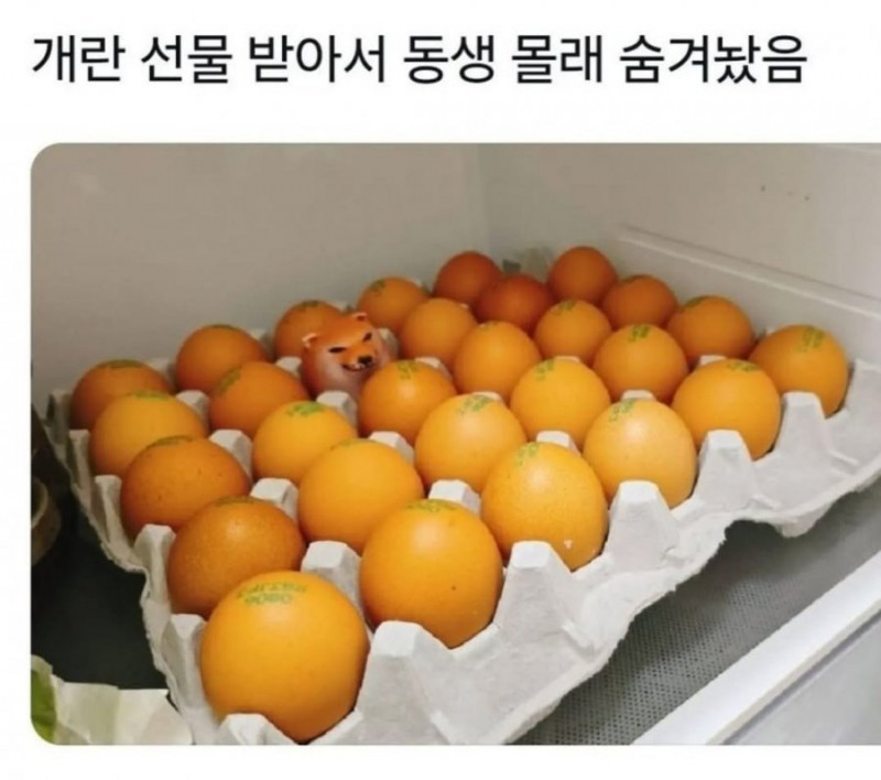 나눔로또