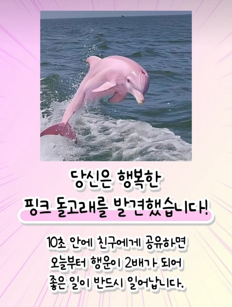 달팽이게임픽분석