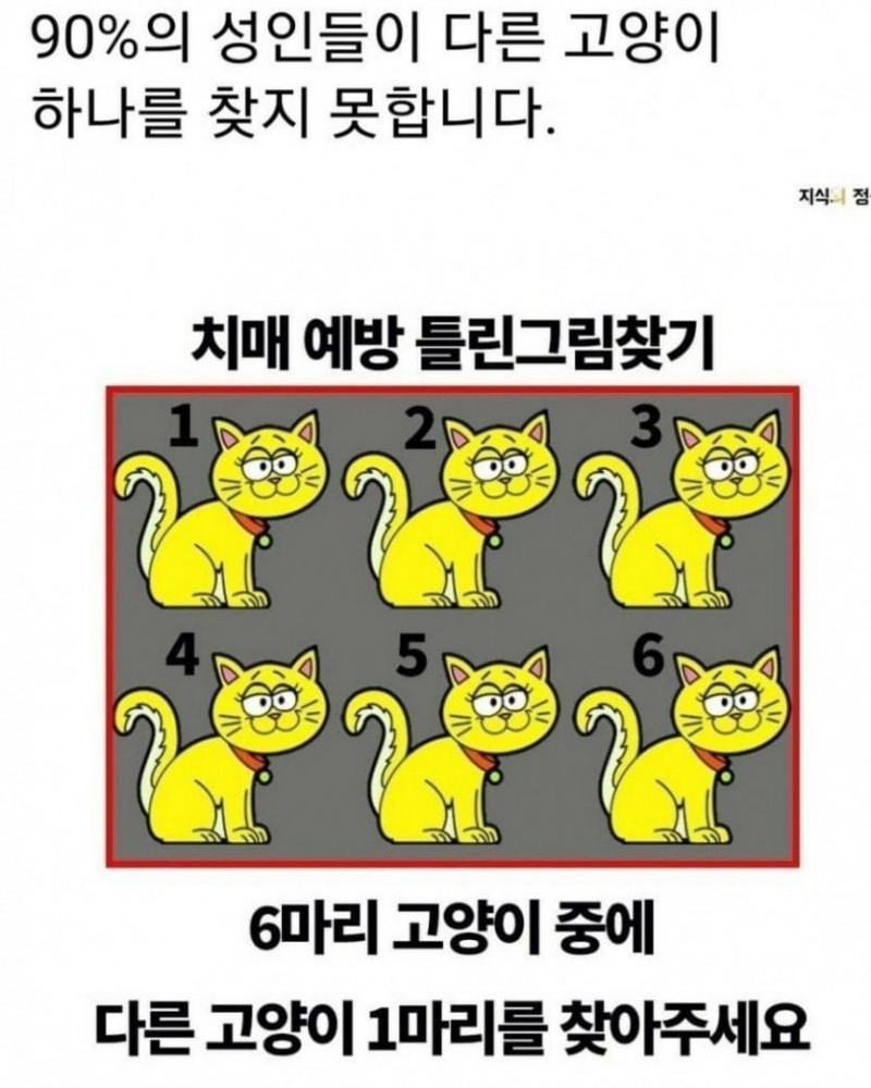 나눔로또