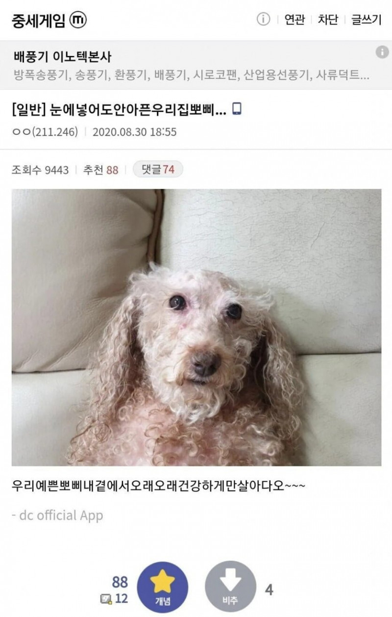 달팽이게임픽