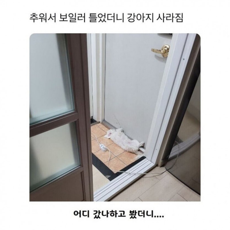 파워볼게임분석