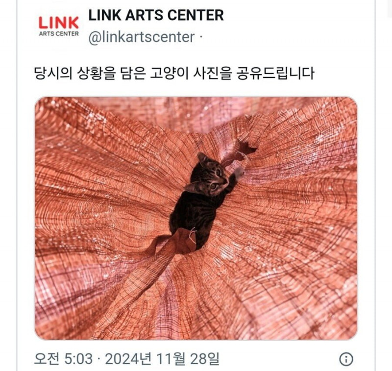 파워볼 분석과 실시간패턴통계