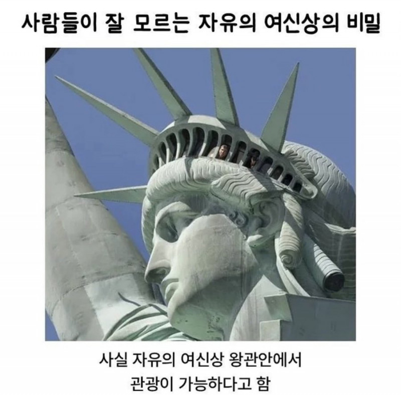 파워볼게임분석