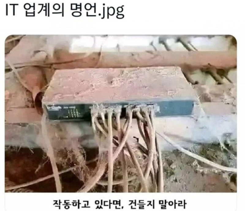 파워볼게임픽분석