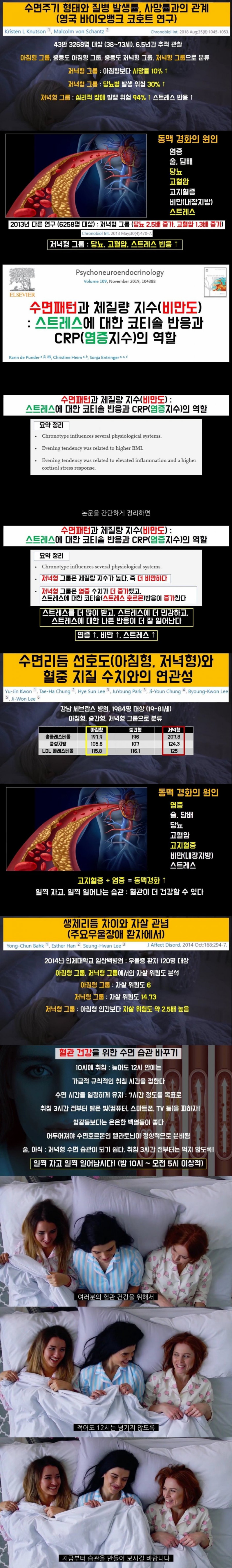 사다리 분석과 실시간패턴통계