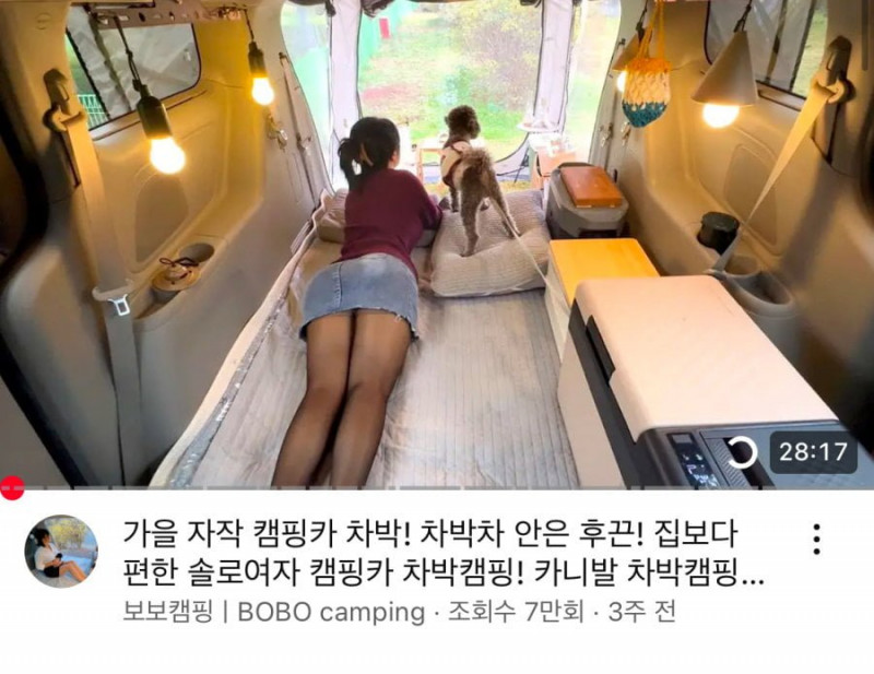 달팽이게임픽분석