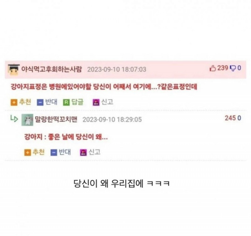 달팽이필승