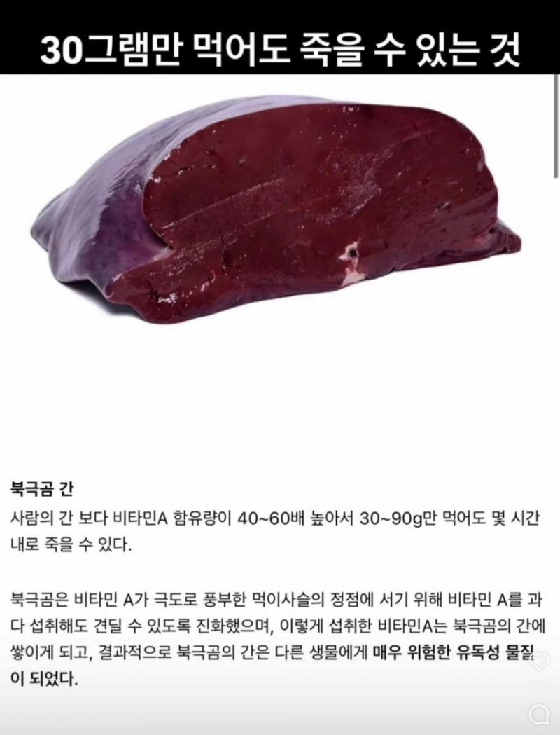 사다리게임분석