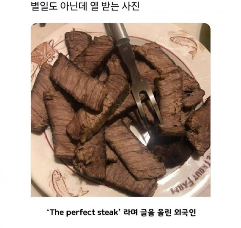 사다리 분석과 실시간패턴통계