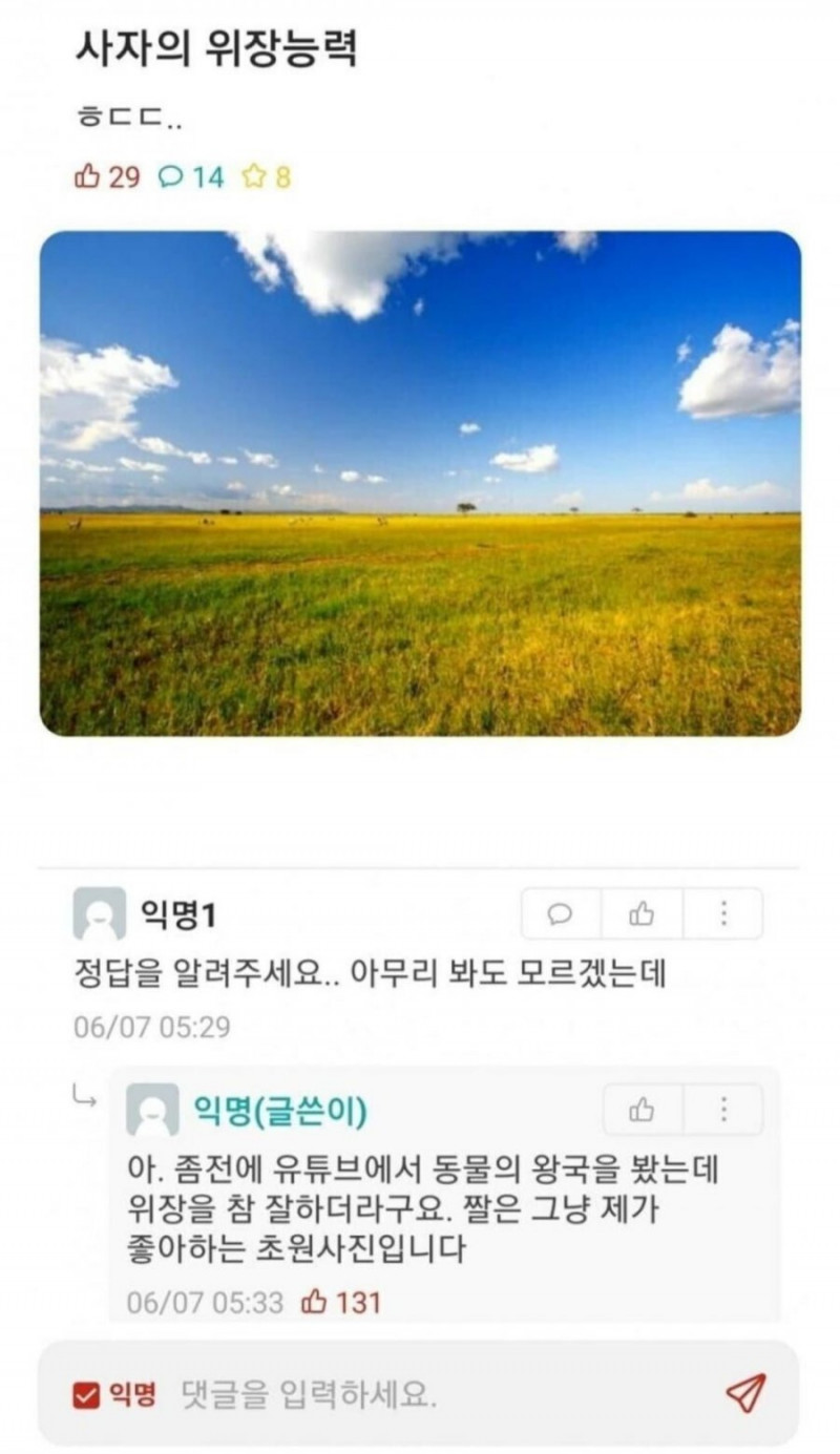 파워볼게임픽분석