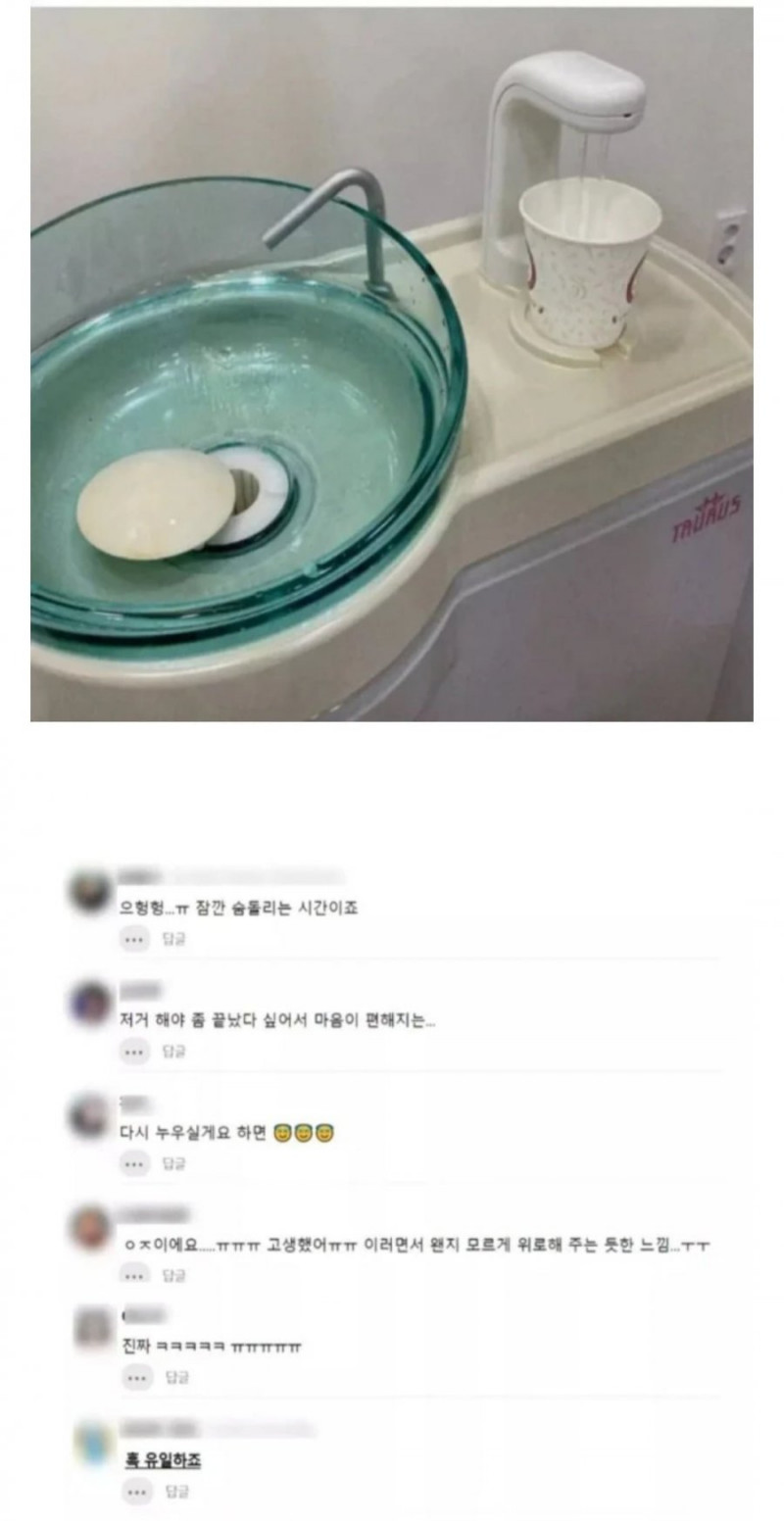 달팽이게임픽분석