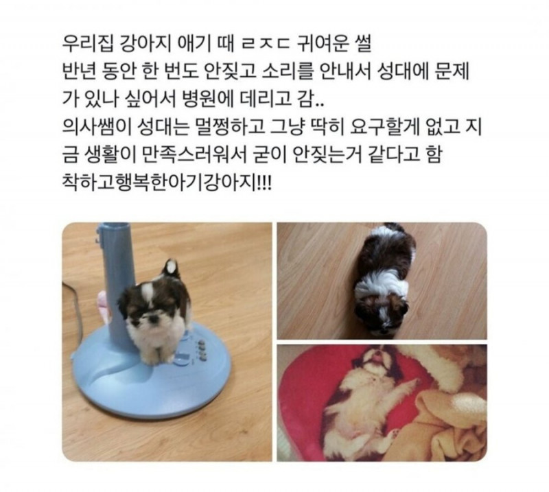 나눔로또