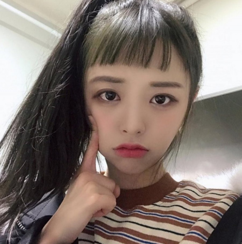 달팽이게임통계