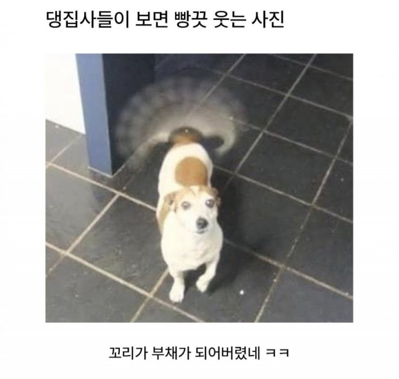 실시간달팽이