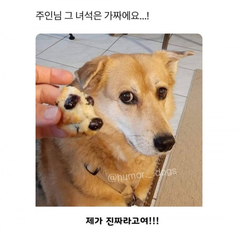 파워볼게임픽