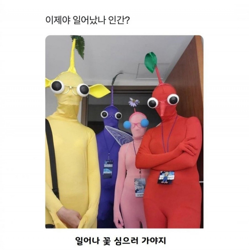 달팽이게임픽분석